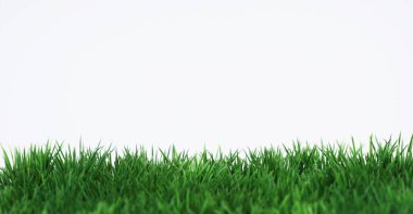 Green field on white background clipart