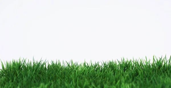 Grünes Feld Auf Weißem Hintergrund — Stockfoto