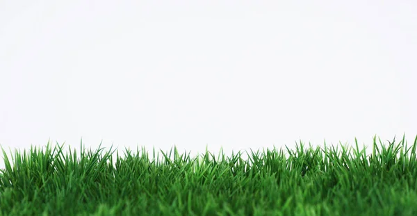 Green Field White Background — Stock Photo, Image