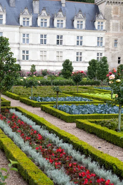Kuchyňská Zahrada Chateau Villandry Loire Valley Francie — Stock fotografie