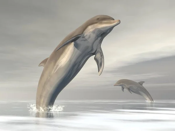 Ugrás Óceán Felhős Nap Két Delfin — Stock Fotó