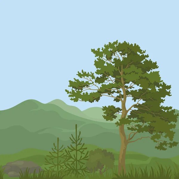 夏山风景用松树 绿草和蓝蓝的天空 — 图库照片