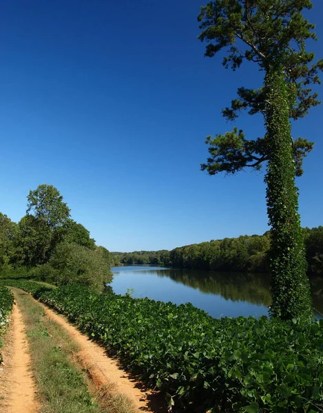 Droga Wzdłuż Rzeki Catawba Karolinie Północnej — Zdjęcie stockowe