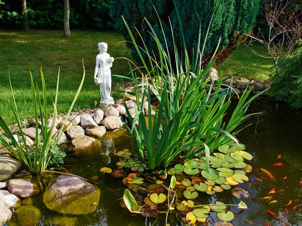 Hermoso Estanque Peces Jardín Clásico Rodeado Hierba Jardinería Fondo — Foto de Stock