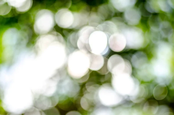 Natuurlijke Buitenshuis Bokeh Groene Gele Tinten — Stockfoto