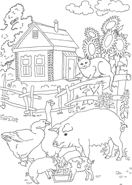 coloring  cat, pig, house