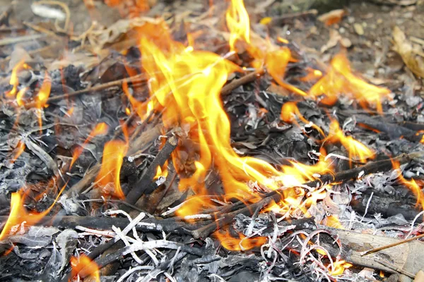 Пожежний Фон Листям Лісі — стокове фото