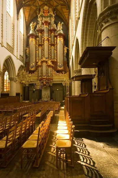 Dentro Catedral Saint Bavo Haarlem Países Bajos — Foto de Stock