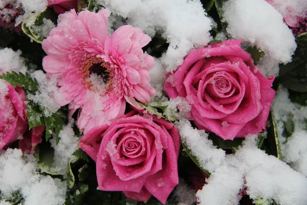 Ροζ Τριαντάφυλλα Και Gerberas Καλυμμένα Φρέσκο Χιόνι — Φωτογραφία Αρχείου