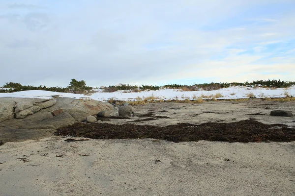 Nature Sea Ocean Water Beach Foreshore — Stock Photo, Image