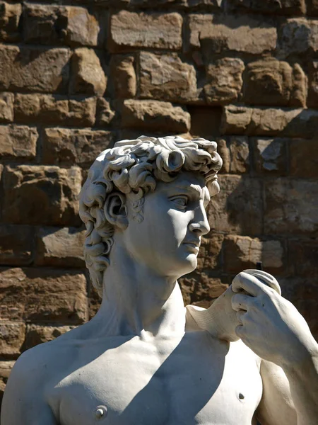 フィレンツェ ミケランジェロのダビデ像 フィレンツェのヴェッキオ宮殿の前に ダビデの元の場所に立って 像のコピー — ストック写真