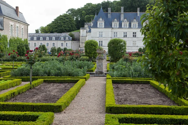Tuinen Château Villandry Loirevallei Frankrijk — Stockfoto