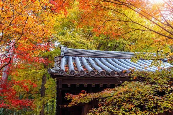 Πολύχρωμο Φθινόπωρο Στέγη Φύλλων Και Ναός Στο Κιότο Της Ιαπωνίας — Φωτογραφία Αρχείου