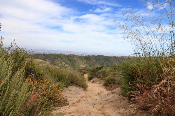 Aliso Wood Canyons Wilderness Park Rutas Senderismo Laguna Beach California — Foto de Stock