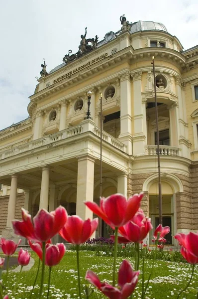Słowacki Teatr Narodowy Środku Bratysławy Tulipany Pierwszym Planie — Zdjęcie stockowe