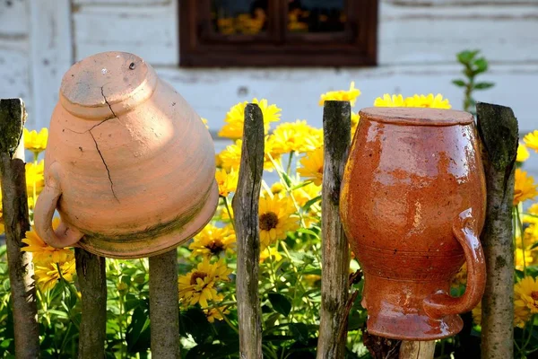 Paisagem Rural Com Vasos Barro Flores Cerca — Fotografia de Stock