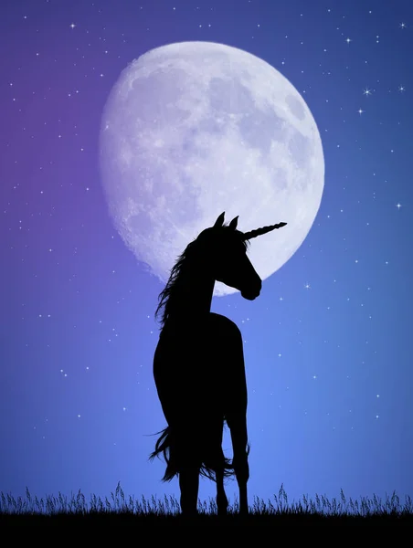 Illustration Des Einhorns Mondlicht — Stockfoto