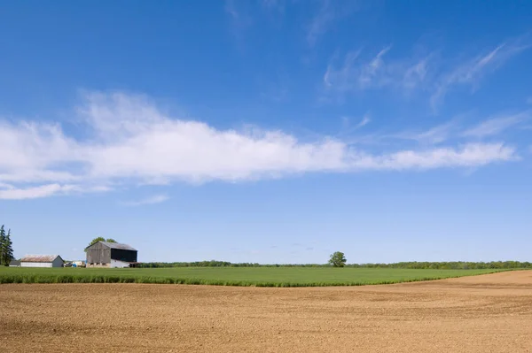 Jordbruksföretag Hög Blå Himmel — Stockfoto