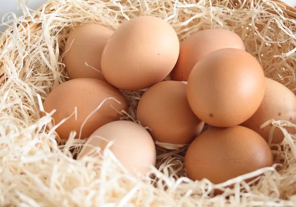 Embreagem Ovos Uma Cesta Cheia Aparas — Fotografia de Stock