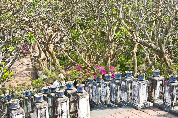 Parte Del Bellissimo Giardino Dei Palazzo Phra Nakhon Khiri — Foto Stock