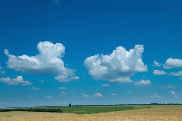 View Field Harvesting — Stock Photo, Image