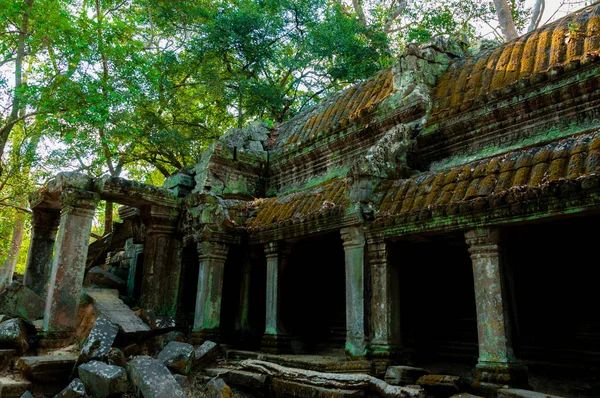 Templo Pedra Prohm Angkor Wat Camboja — Fotografia de Stock