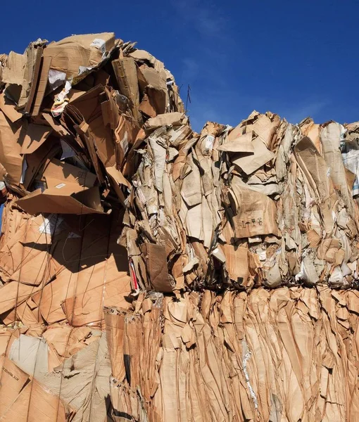 Recolha Resíduos Papel Cartão Para Reciclagem — Fotografia de Stock