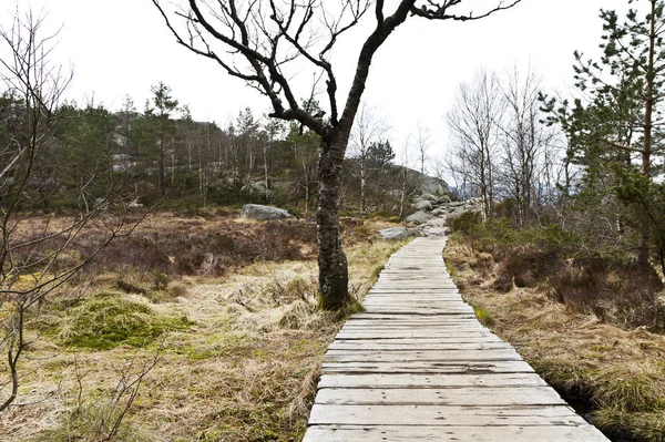 Wooden Foot Path Rural Landscape Norway — Stok fotoğraf