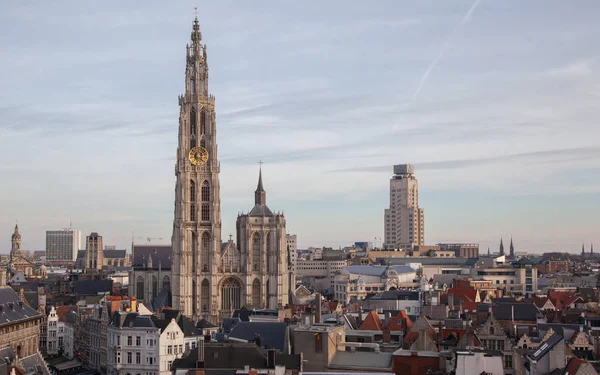 Vista Sobre Antuérpia Com Catedral Nossa Senhora Tomada Bélgica — Fotografia de Stock