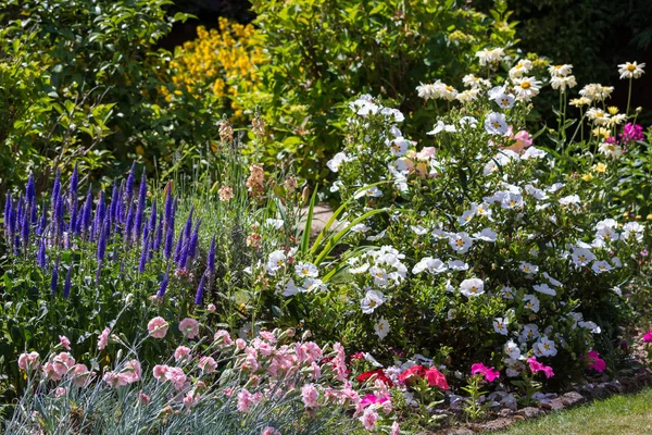 Ein Ostgrauer Garten Voller Blüte — Stockfoto