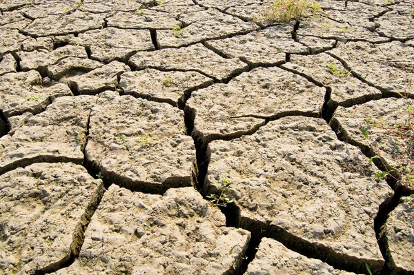 Opgedroogde Aarde Met Scheuren — Stockfoto