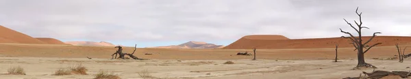 Panorama Cinco Fotos Área Deadvlei Perto Sossusvlei Namíbia — Fotografia de Stock