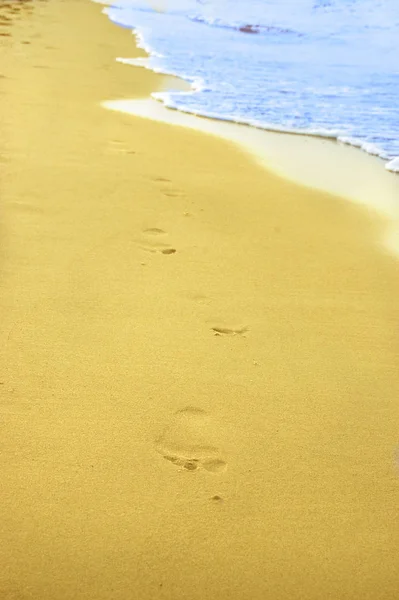Пляжний Шлях Слід Піщаному Пляжі — стокове фото