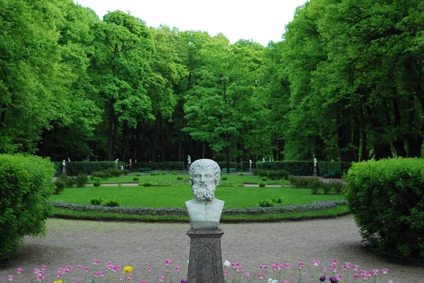 Busto Mármol Letniy Patio Rusia — Foto de Stock