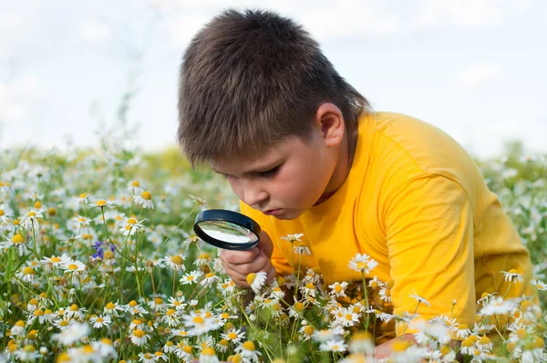 男の子は虫眼鏡を通して花を見ています — ストック写真