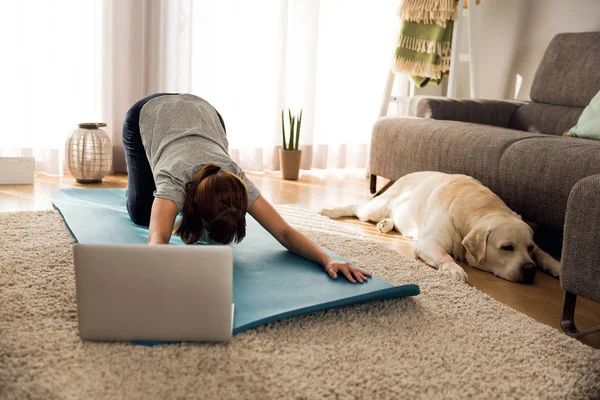 Skott Kvinna Gör Övning Hemma Med Sin Hund — Stockfoto