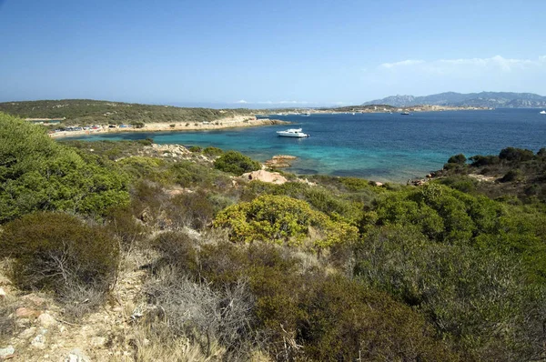 Středomořská Vegetace Fantastické Modré Moře Ostrově Caprera Souostroví Maddalena Nejlepší — Stock fotografie