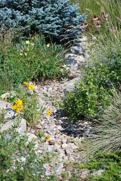 Rock Tuin Buiten Uitzicht Buiten — Stockfoto