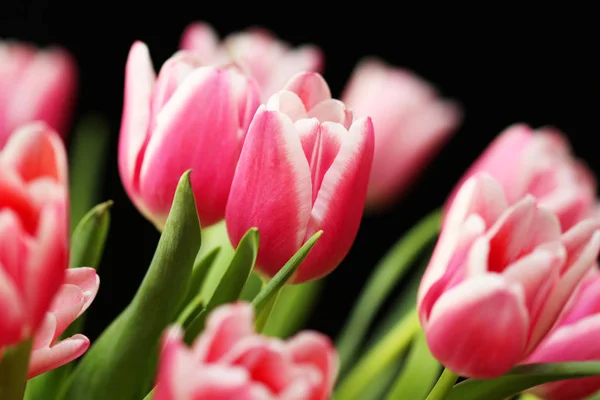 Krásná Kytice Růžový Tulipán Tmavém Pozadí — Stock fotografie