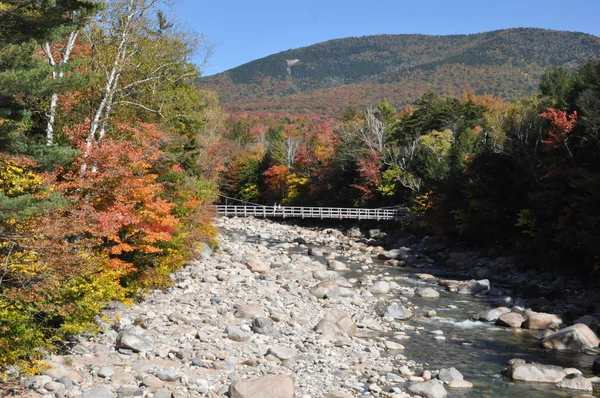 Herfst Kleuren Het White Mountain National Forest New Hampshire — Stockfoto