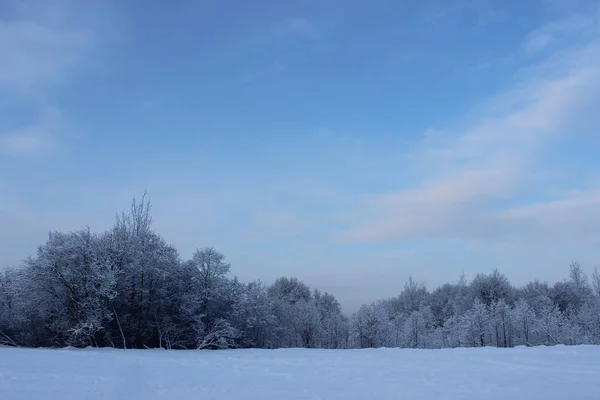 Vinter Skogen Efter Ett Snöfall Julafton Mitt Vintern — Stockfoto