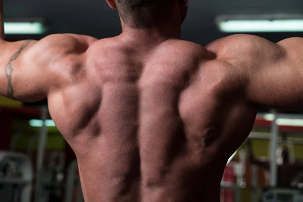 Bodybuilder Doing Exercise For Back