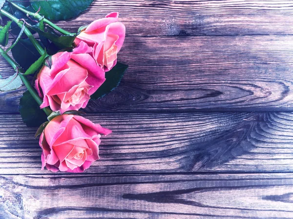 Rosas Hermosas Vintage Sobre Mesa Madera Estilo Rústico —  Fotos de Stock