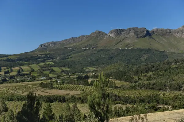 Bella Vista Alla Piantagione Con Varie Piante Lungo Autostrada Sud — Foto Stock