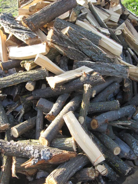Hazırlanmış Odun Yığınının Görüntüsü — Stok fotoğraf