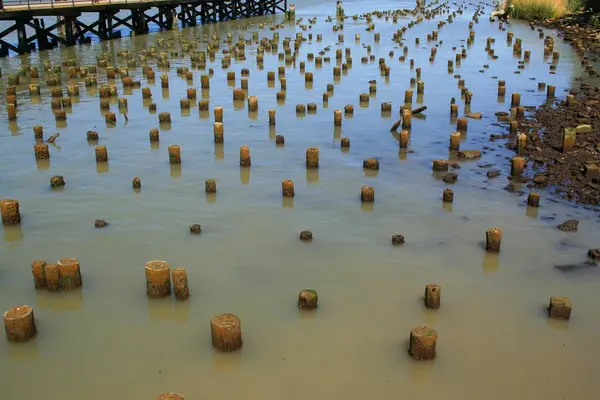 Big Old Pier Sunny Day — Stock Photo, Image