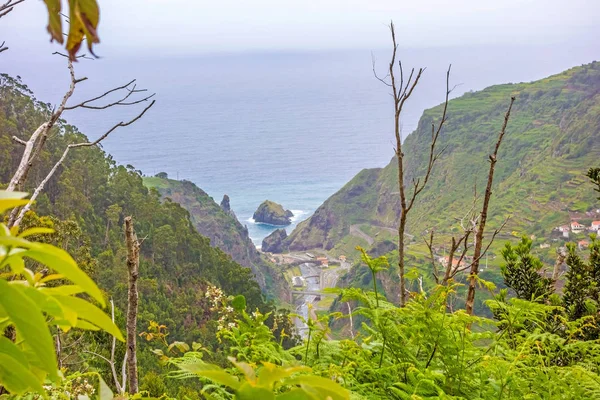 Pohled Turistické Stezce Levada Dělat Centrální Ribeira Janela Atlantického Oceánu — Stock fotografie