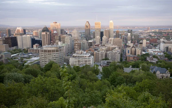 Panorama Foto Montreal Staden Fron Mount Royal — Stockfoto