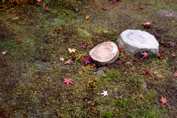 Folhas Bordo Uma Pedra Toco Musgo Parque Japonês Outono — Fotografia de Stock