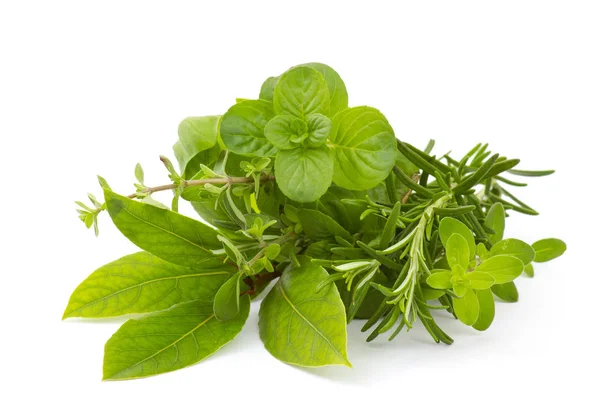 Freshly harvested herbs on white background